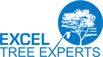 Excel Tree - Maryland Tree Removal Service